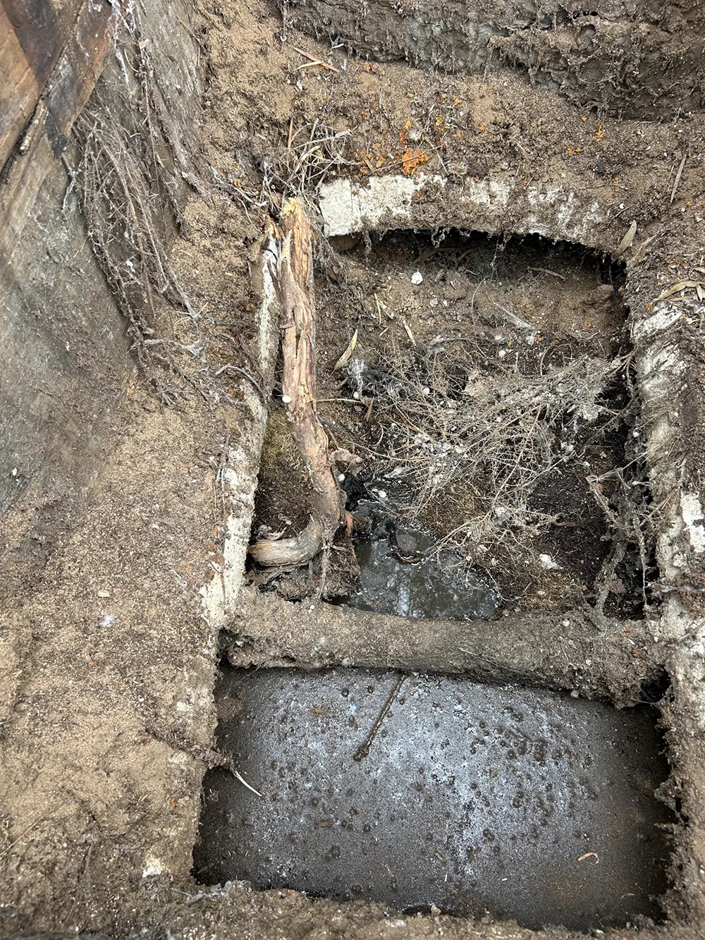 Septic Tank Management